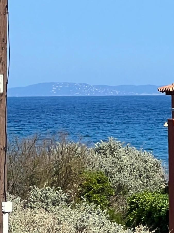 Apartment Plein Sud, Bel 20 Metres De La La Capte